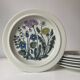 Flora flat plate service design Esteri Tomula