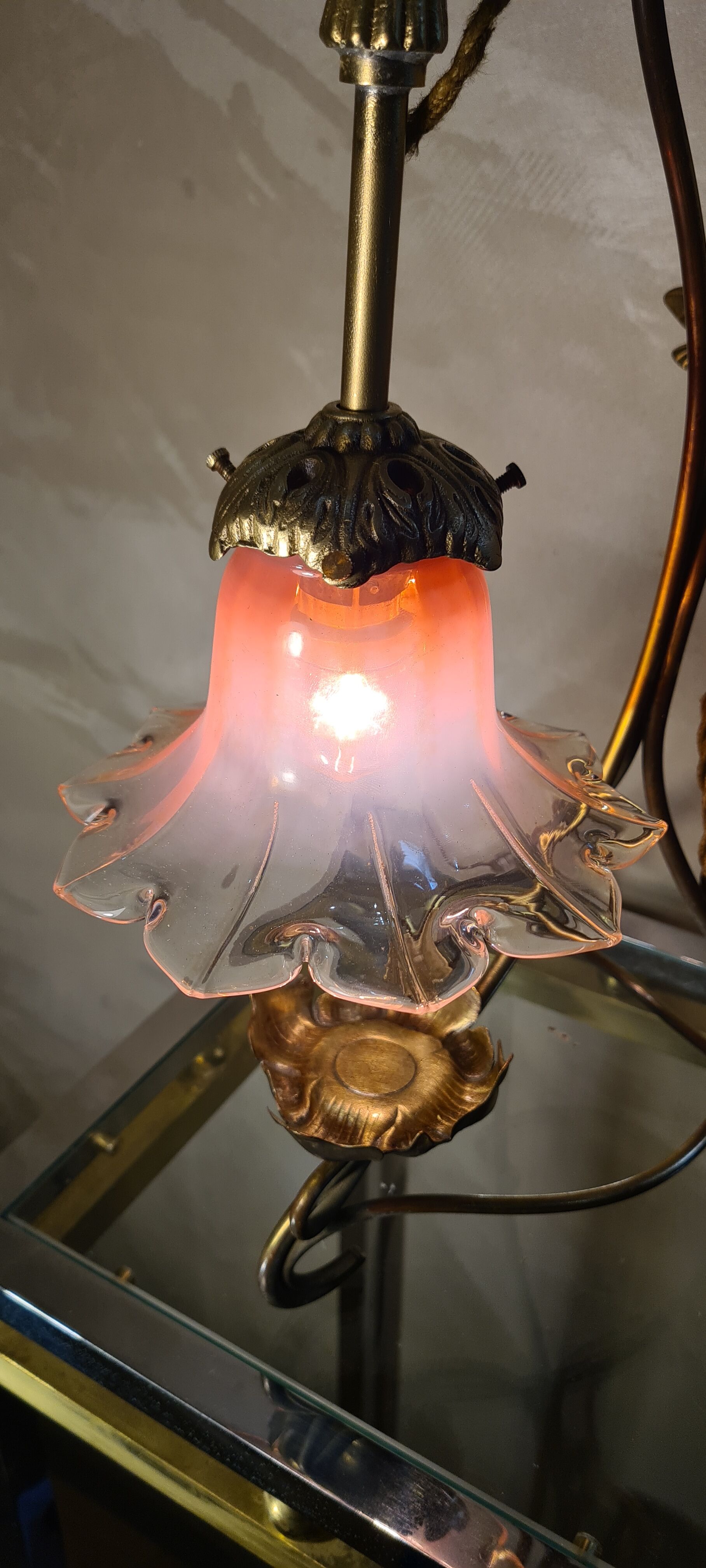 Brass lamp with Art Nouveau libelules , Majorelle style, Muller and Frere, 45x30 with tulip