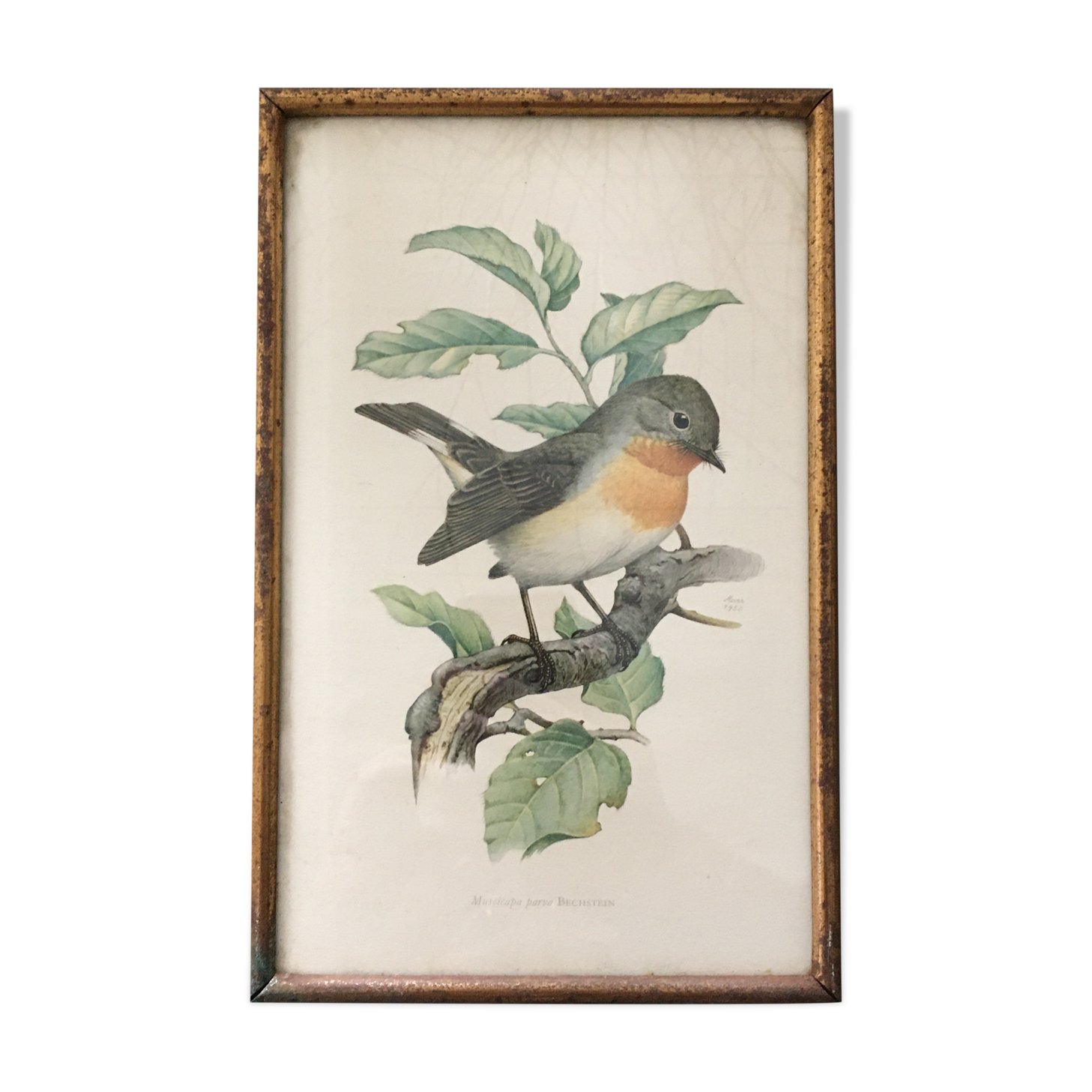 Illustration brass frame box