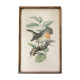 Illustration brass frame box