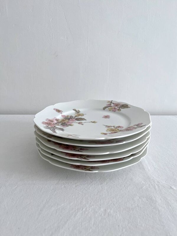 6 assiettes à dessert anciennes en porcelaine de Limoges Haviland & Co