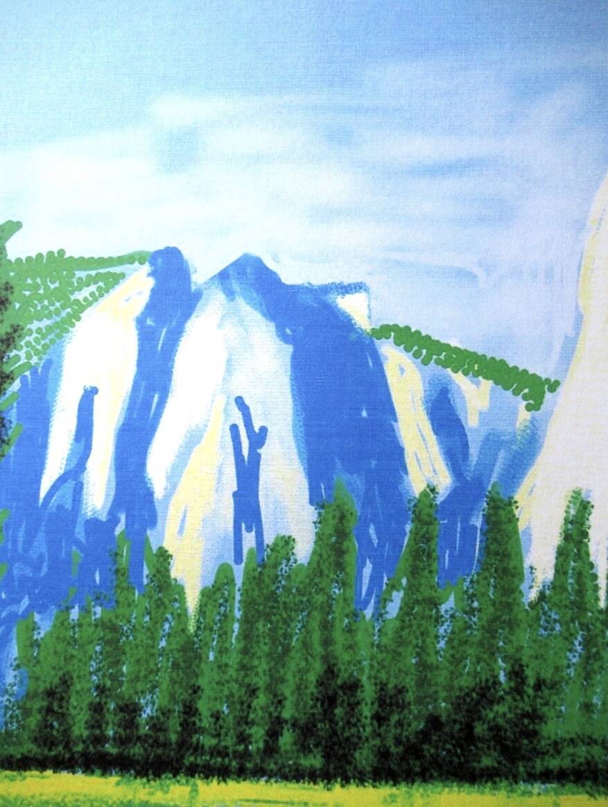 Lithograph by David Hockney, signed and numbered.