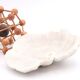 white coral empty pocket shape, cabinet of curiosities, 70s