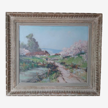 Tableau pommiers en fleurs, Normandie