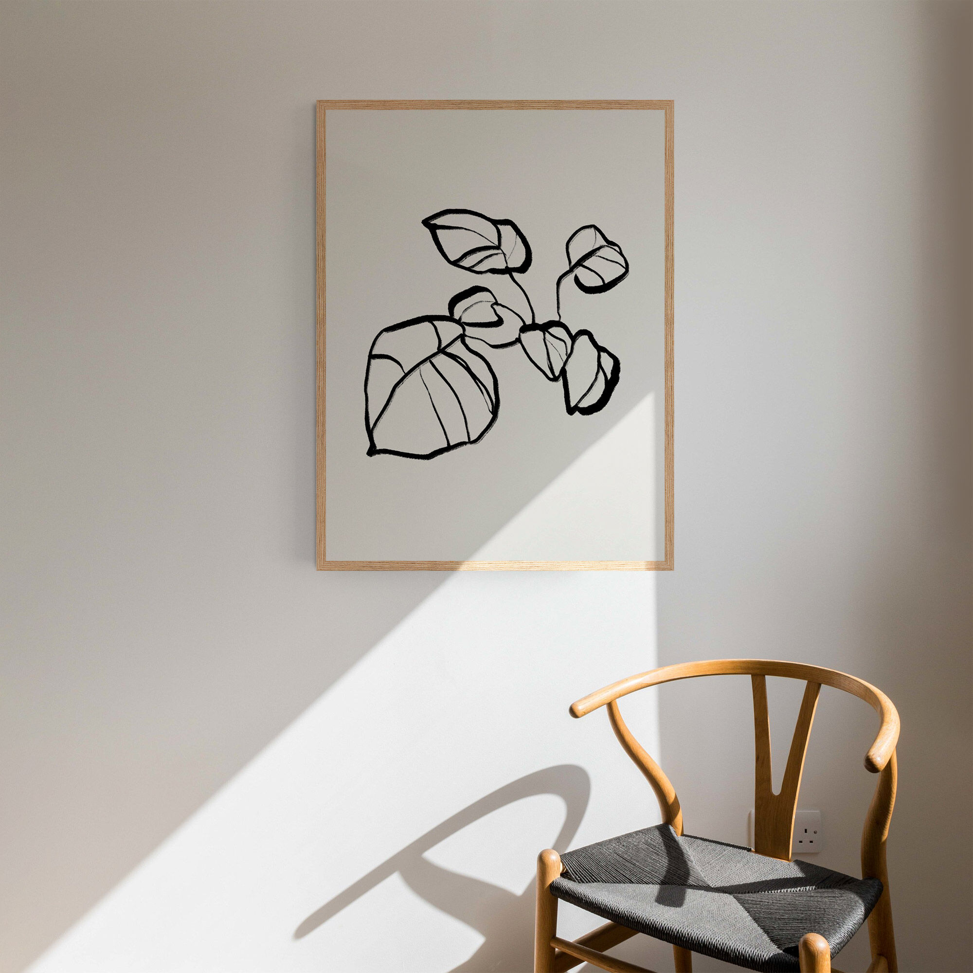 Botanical illustration