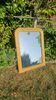 Antique gilded patinated Louis-Philippe mirror
