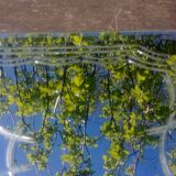 Old large mirror tray from the 1950s