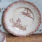 Sept assiettes à dessert terre de fer aux oiseaux f.f.Pexonne fin XIX ème