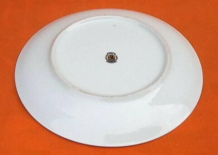 6 flat plates Fine Bohemian porcelain Floral decoration on a white background