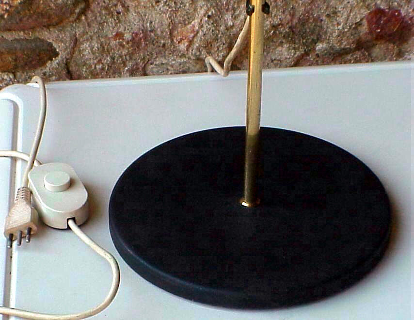 Goffredo Reggiani Italy design Francesco Fois floor lamp years 74