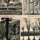 Old climate France map from 1945