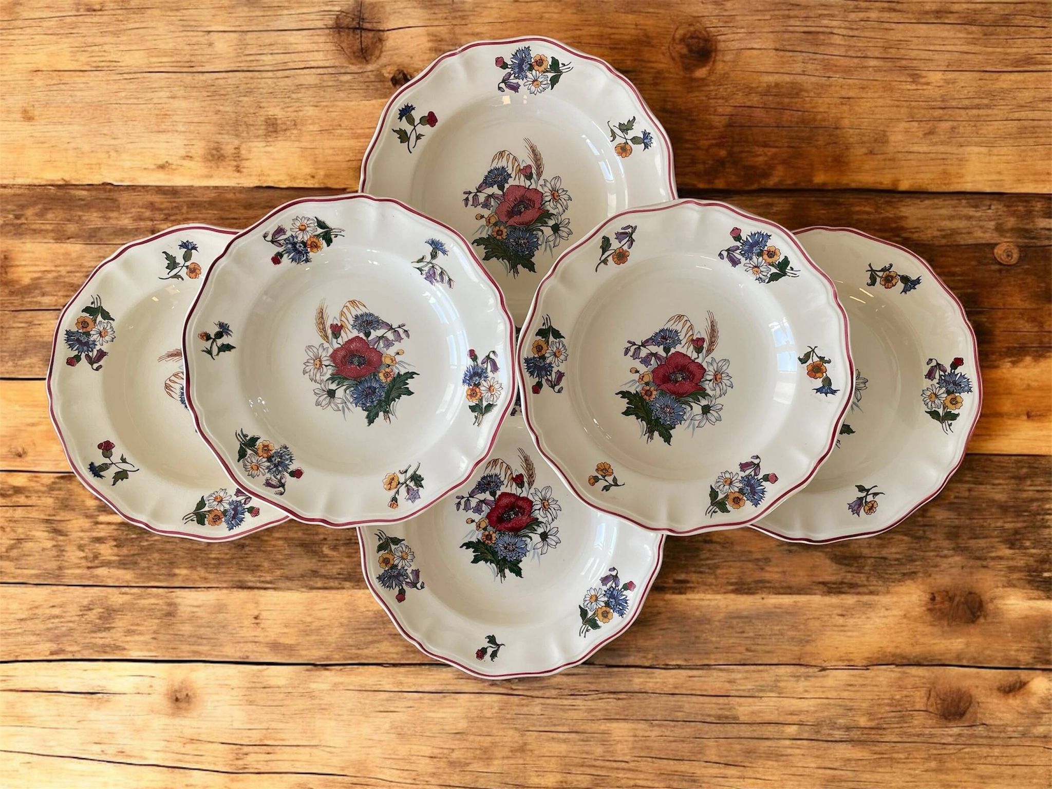6  grandes assiettes creuses anciennes en faïence de Sarreguemines