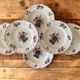 6 large antique deep plates in Sarreguemines earthenware