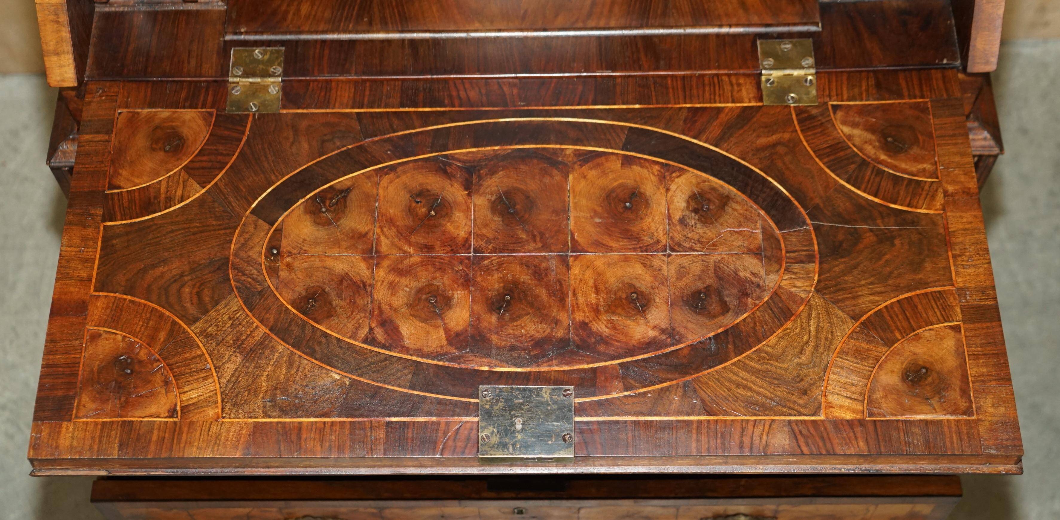 Antique Georgian Display Cabinet in Oyster Veneer circa 1780
