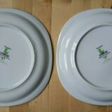 7 assiettes à dessert porcelaine fleurs roses