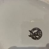 Dish