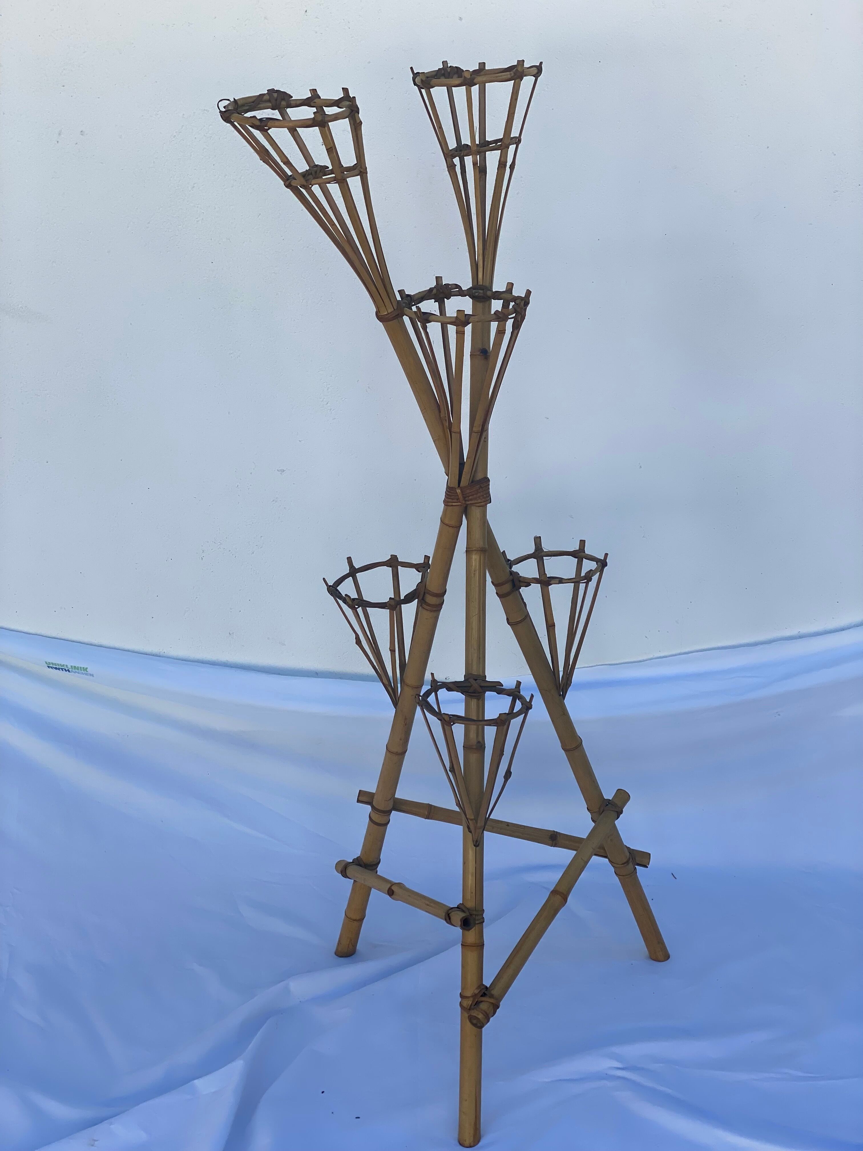 stand de plantes de bambou et de rotin