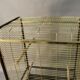 Large vintage parrot cage