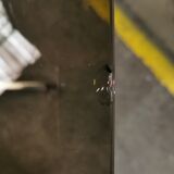 Oval dining table, Roche Bobois, 1970