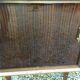 Vintage bar with swivel door in varnished mahogany