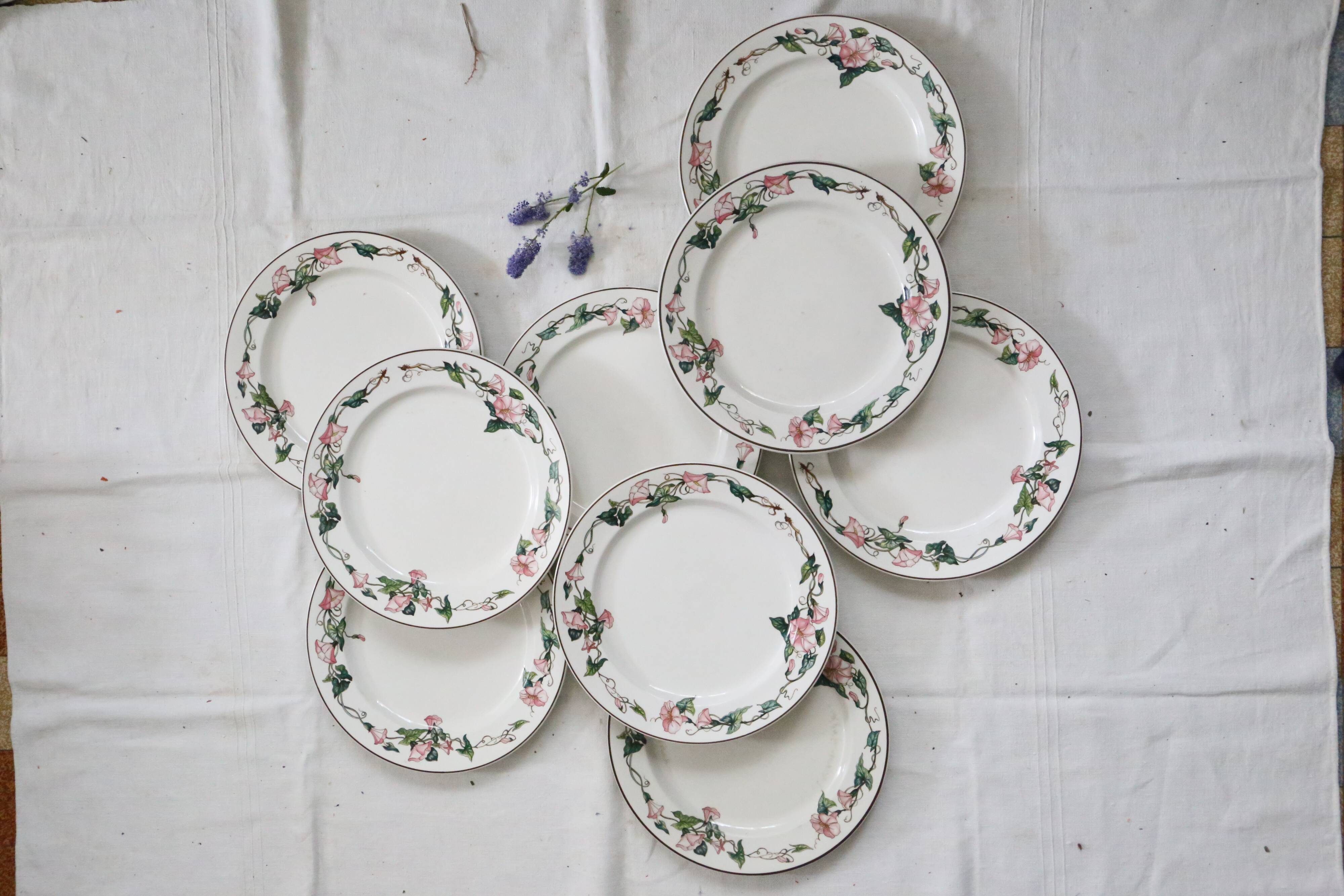 Flat plates 9 earthenware, model Palermo de Villeroy and Boch