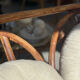 Bamboo sofa 1970