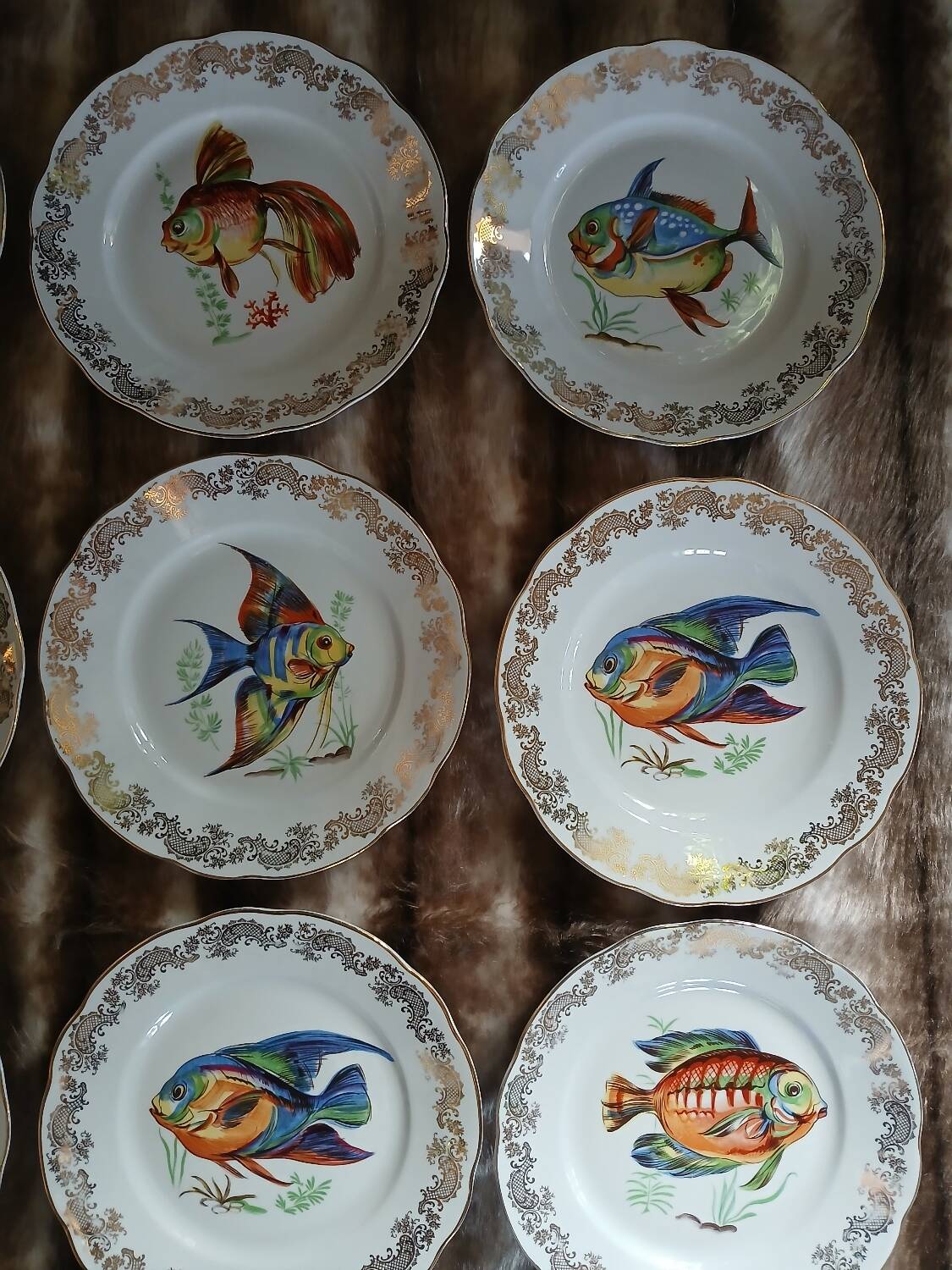 12 antique "Royal" dinner plates + 1 dish