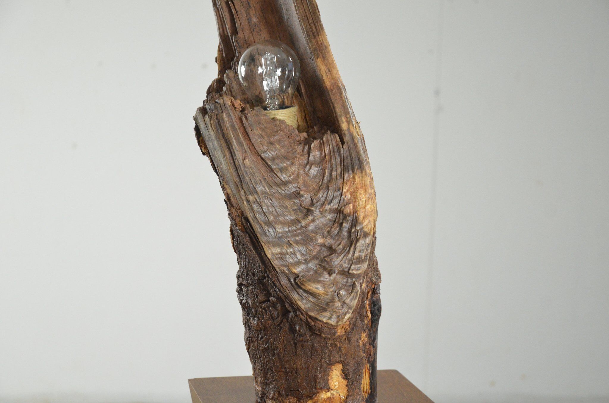 Organic wooden table lamp