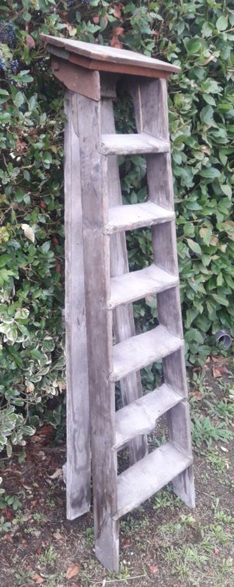 Artisan wooden ladder 6 steps