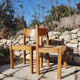 Paire de chaises maison Regain en orme