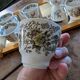 6 tasses Windsor 1981 – Jardin anglais fleuri