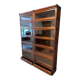 Antique Globe Wernicke bookcase