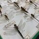 Entomology box showcase of dragonfly insects