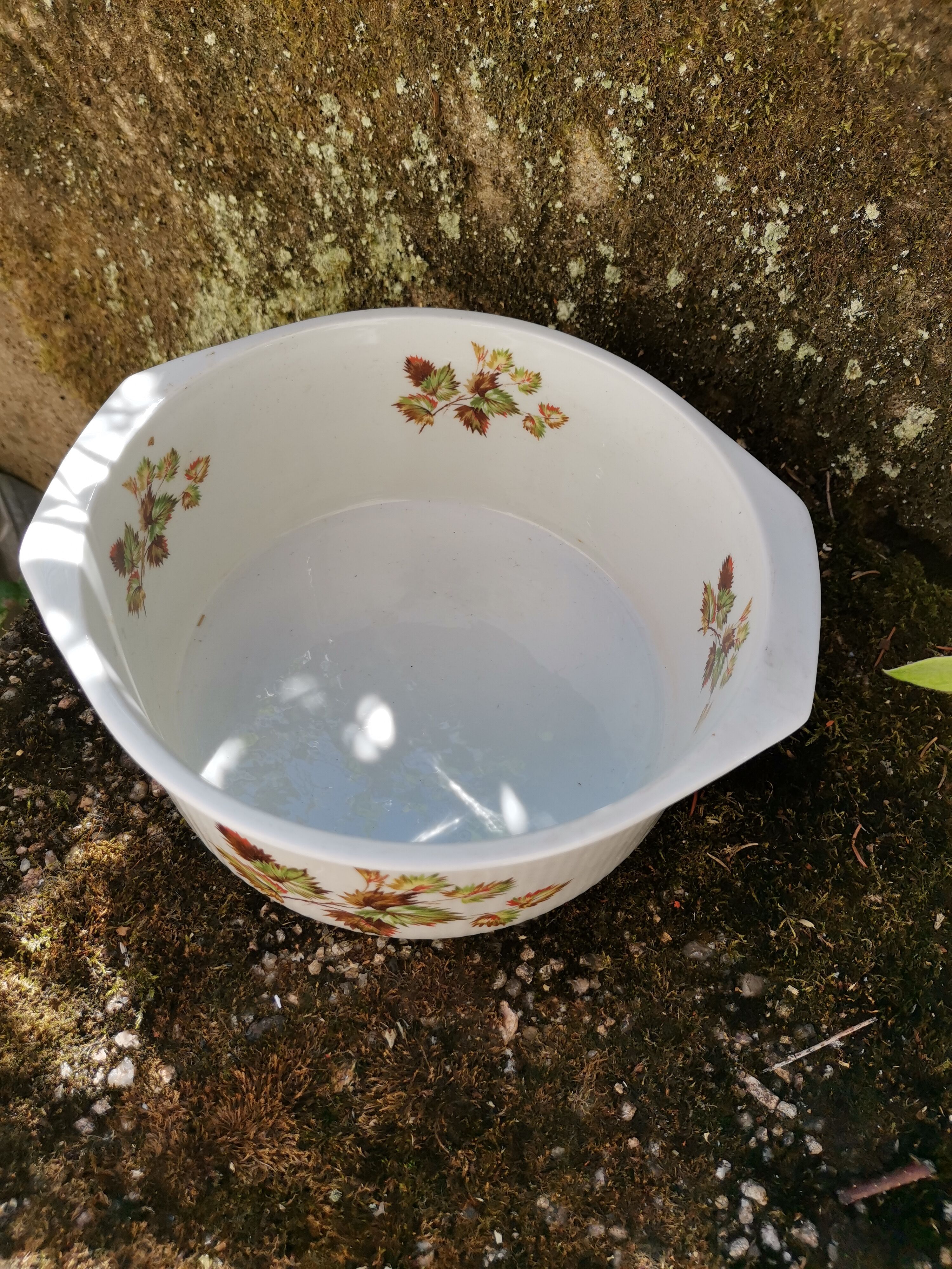 Dish Sarreguemines Digoin