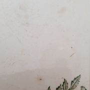 Plat céramique blanc et vert décors fleurs et papillons
