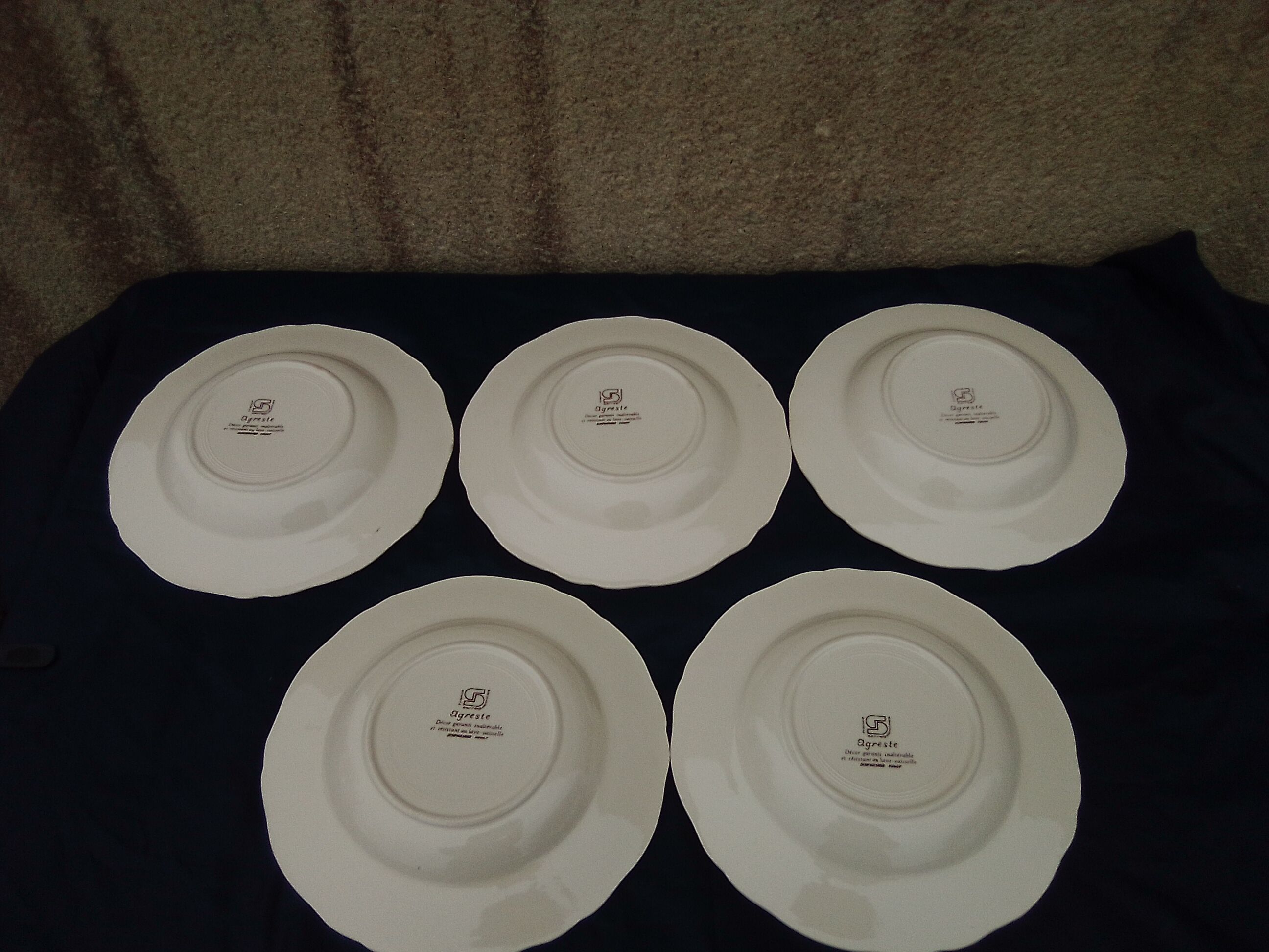 5 hollow plates in Sarreguemines earthenware model Agreste diam 22.5 cm