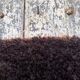 Tapis mural vintage