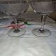 Beautiful set of seven crystal champagne glasses engraved with vine branches