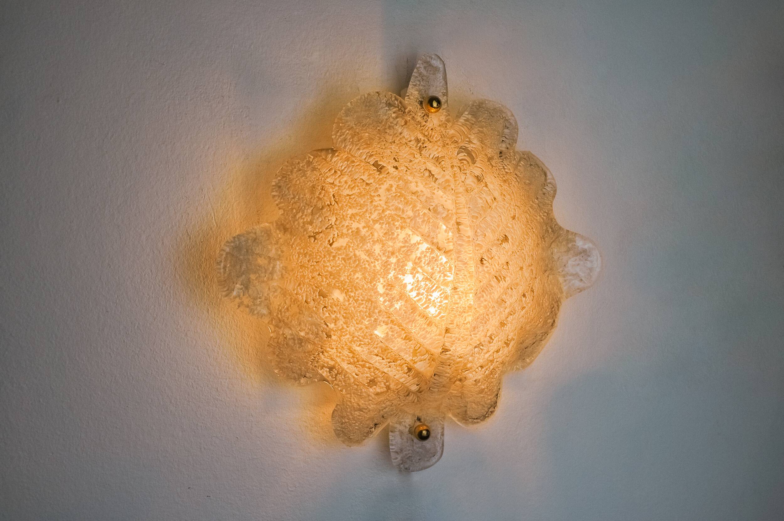 XL frosted leaf wall light, Murano glass, Italy, 1970