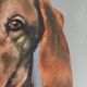 Tableau ancien portrait chien