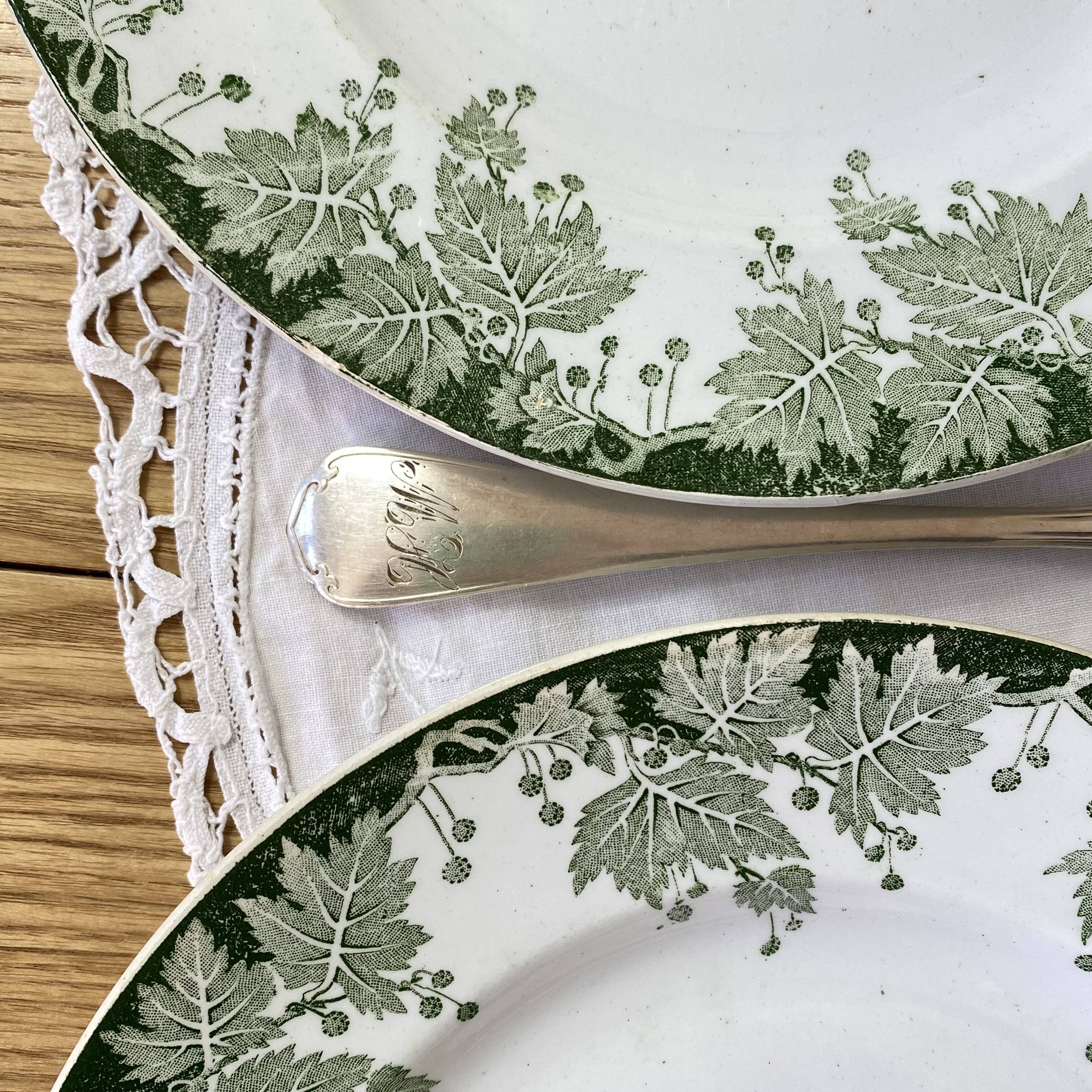 6 flat plates in ironstone from Saint Amand and Hamage, Platane green model.
