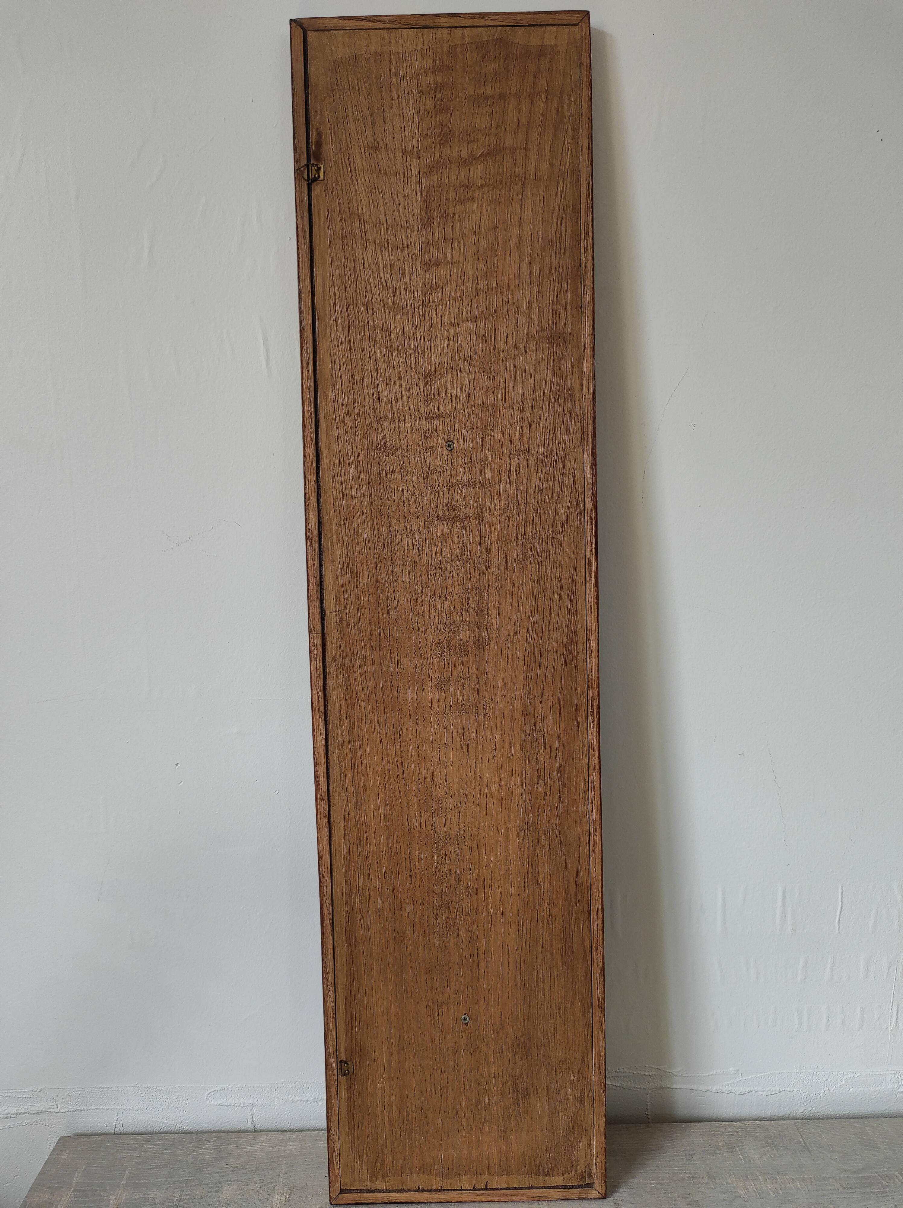 Sawfish rostrum