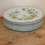 6 Limoges Haviland porcelain plates horn service