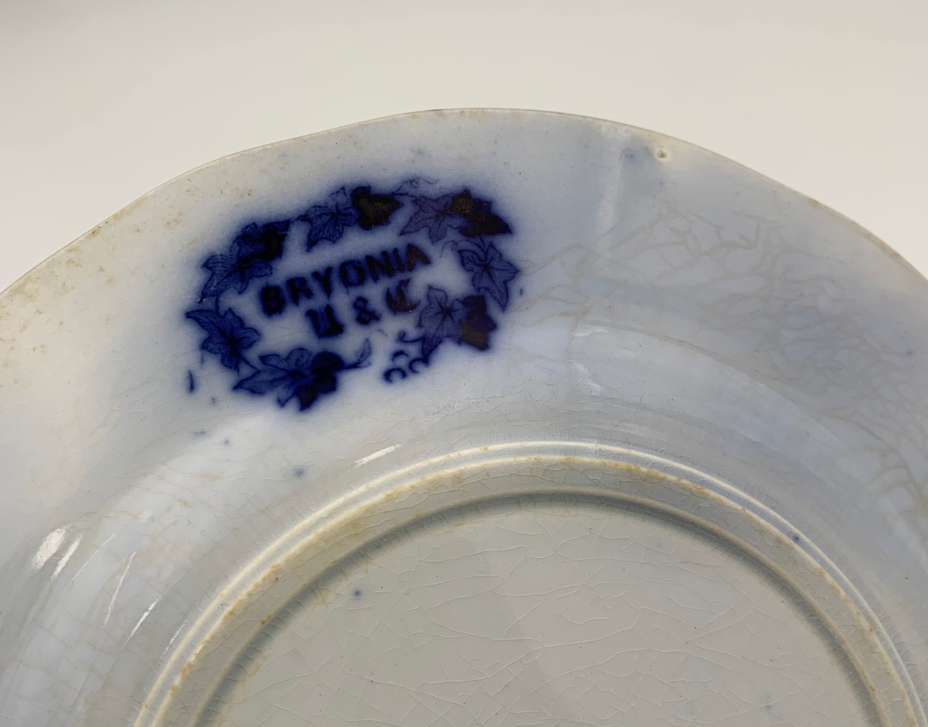 Old earthenware plate SARREGUEMINES, Bryonia model - Late 19th century