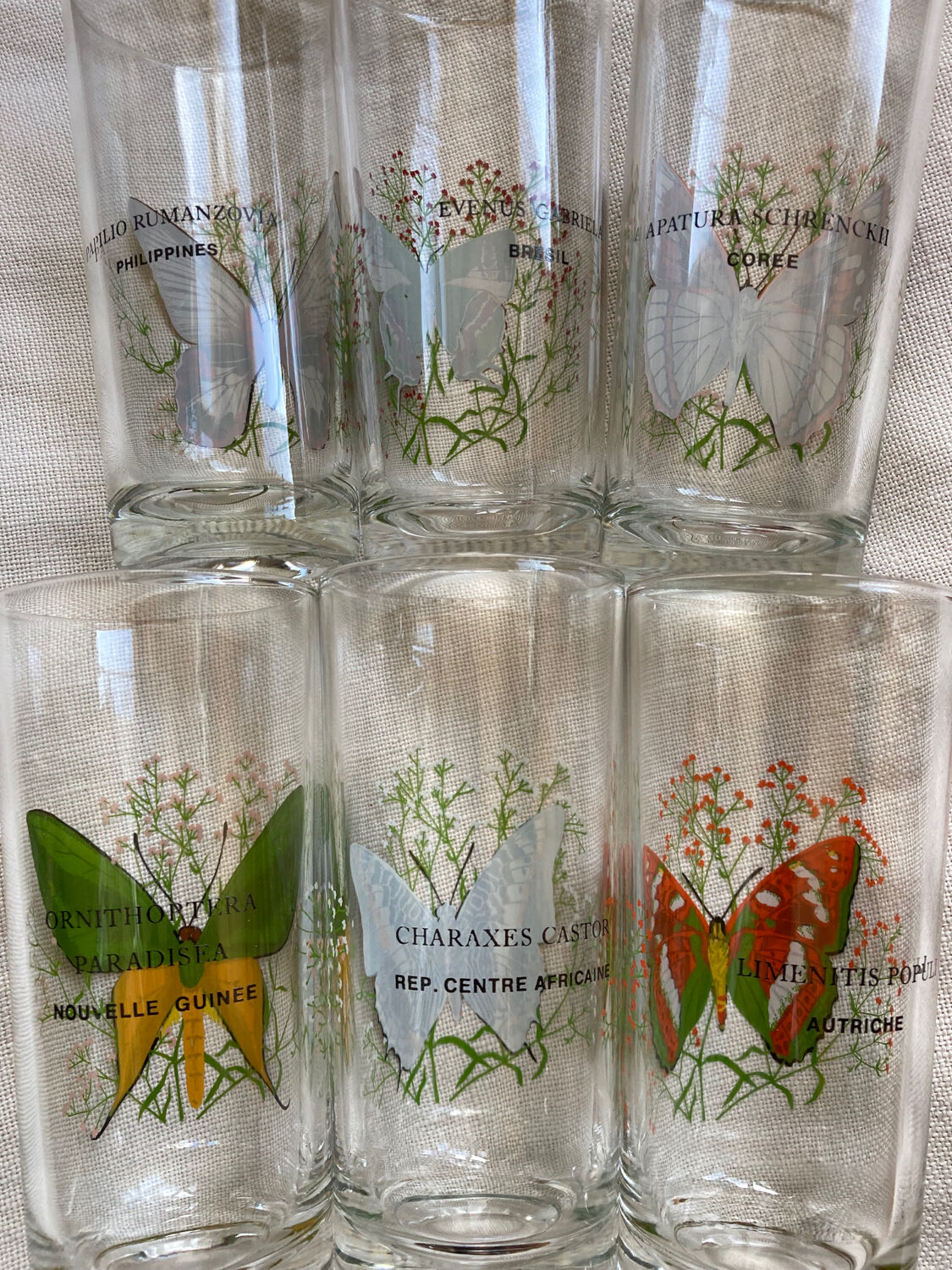 Vintage butterfly orangeade glasses