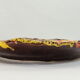 Lot six oyster plates /slip/faience