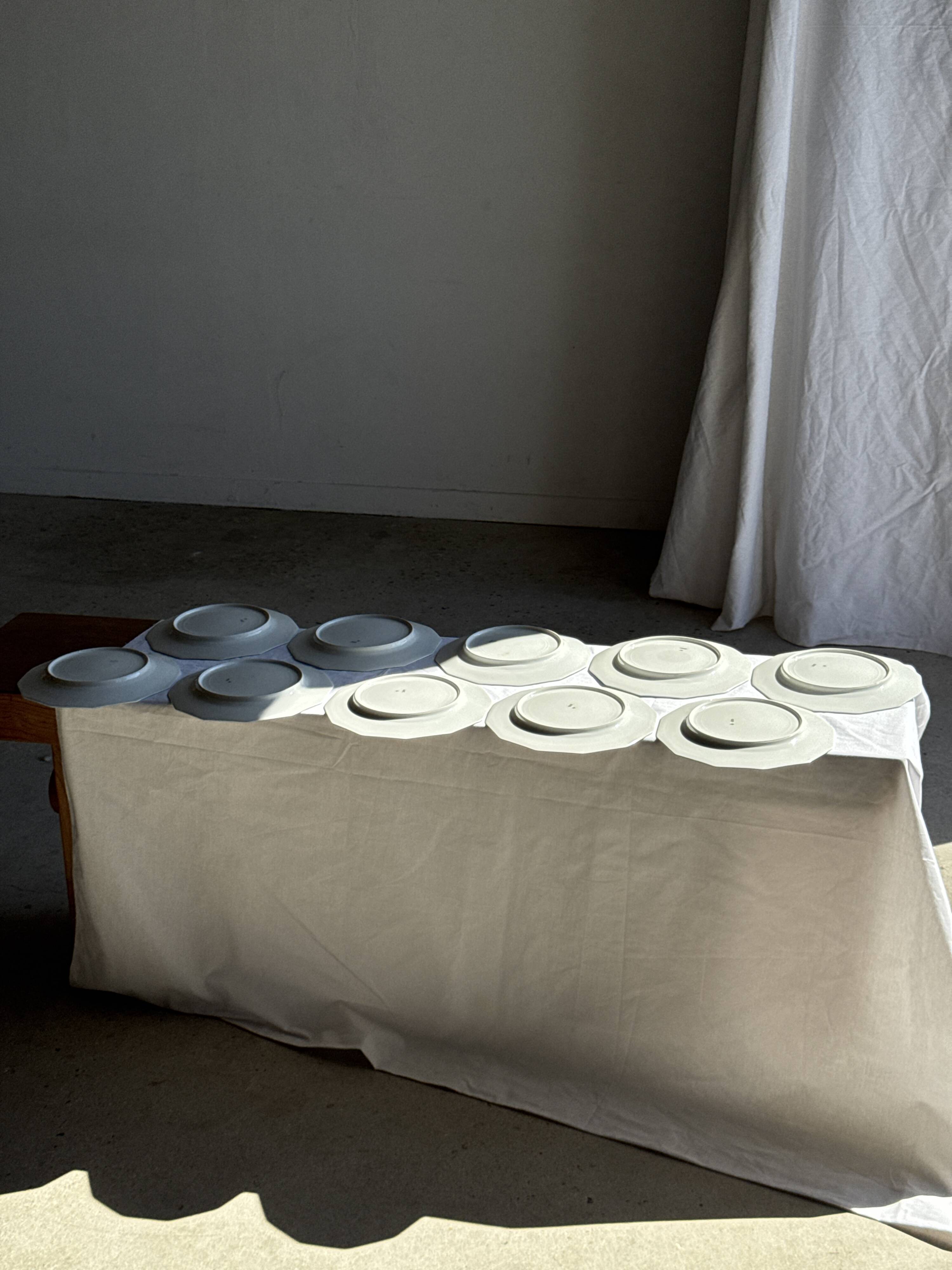 Set of 10 flat plates in Limoges porcelain from France with flowers.