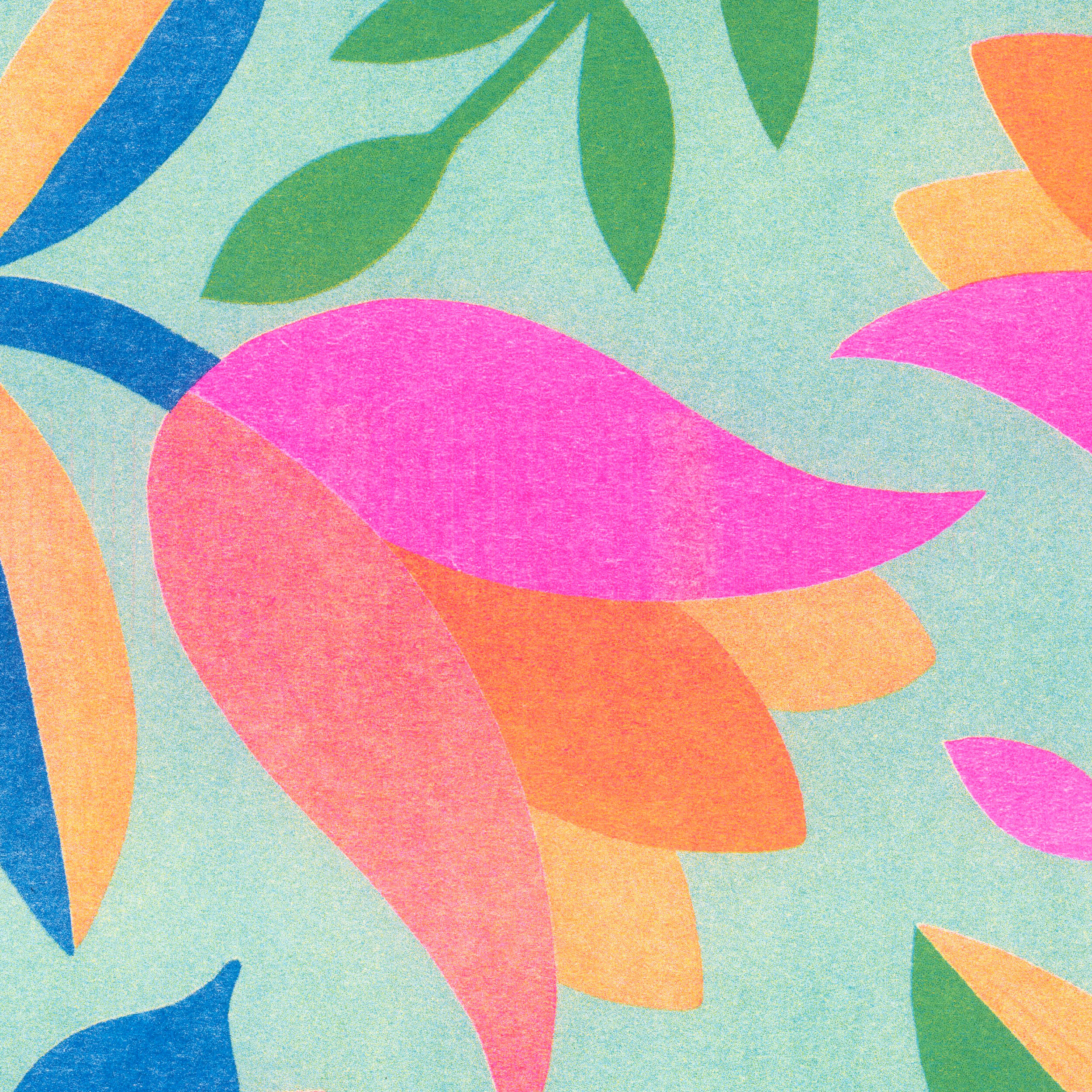 Illustration A4, Tulips, in risography