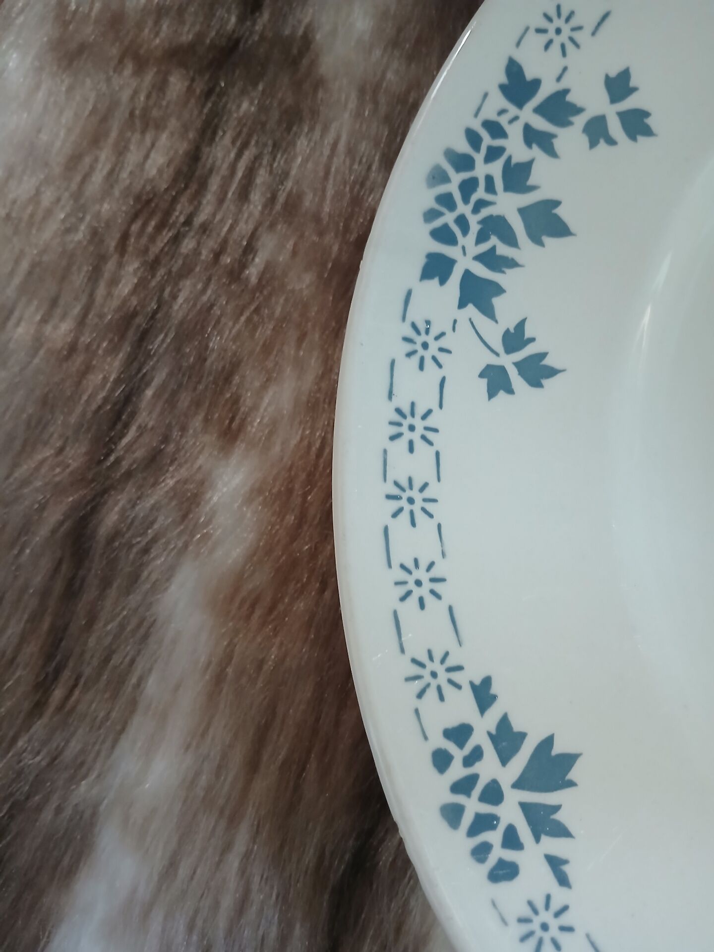 Old Badonviller plate