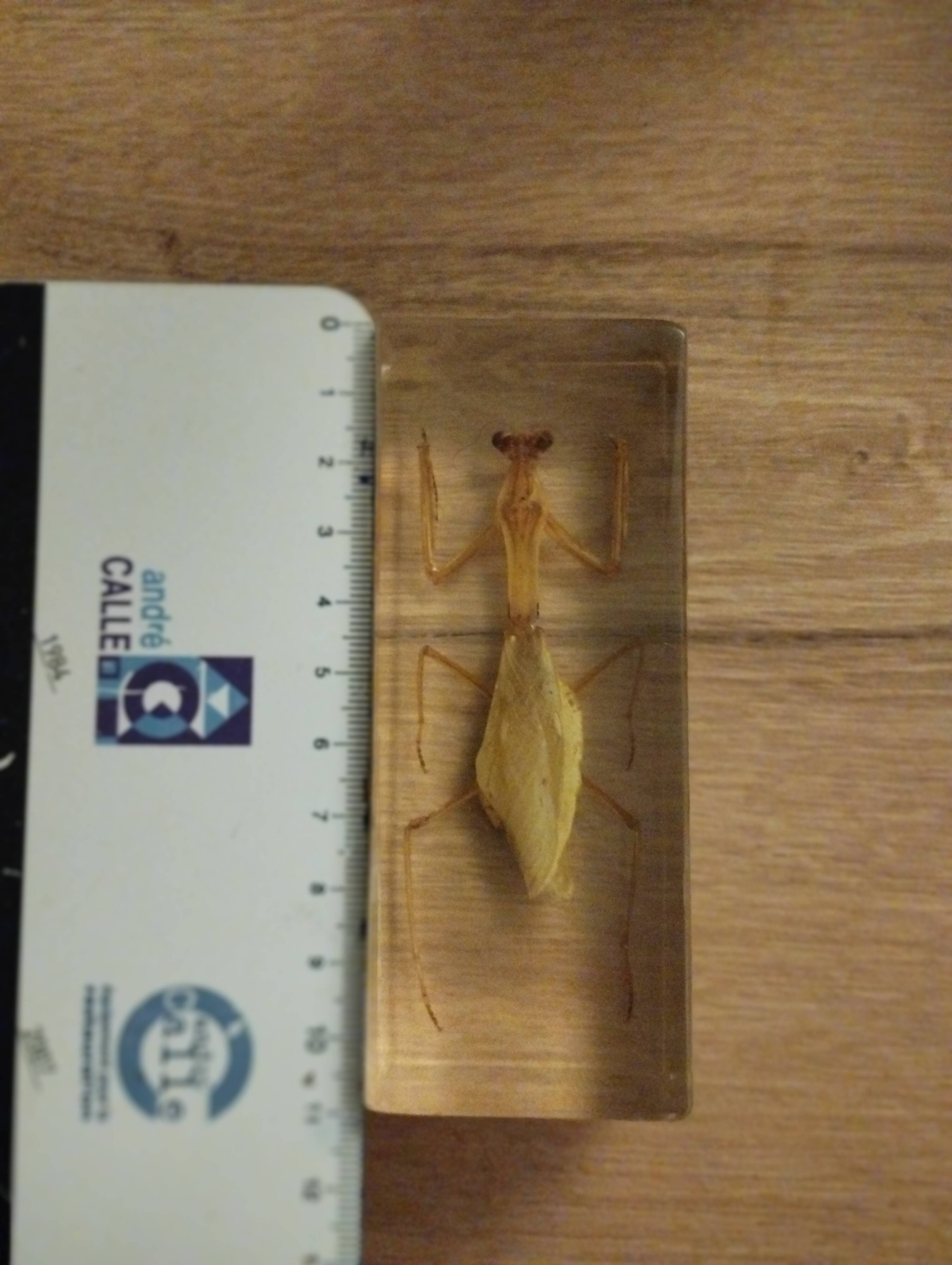 Resin block religious mantha
